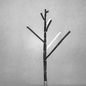 Arbre jeune