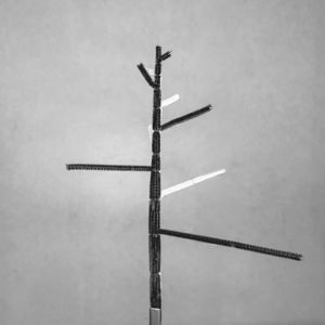Caduc : droit formel